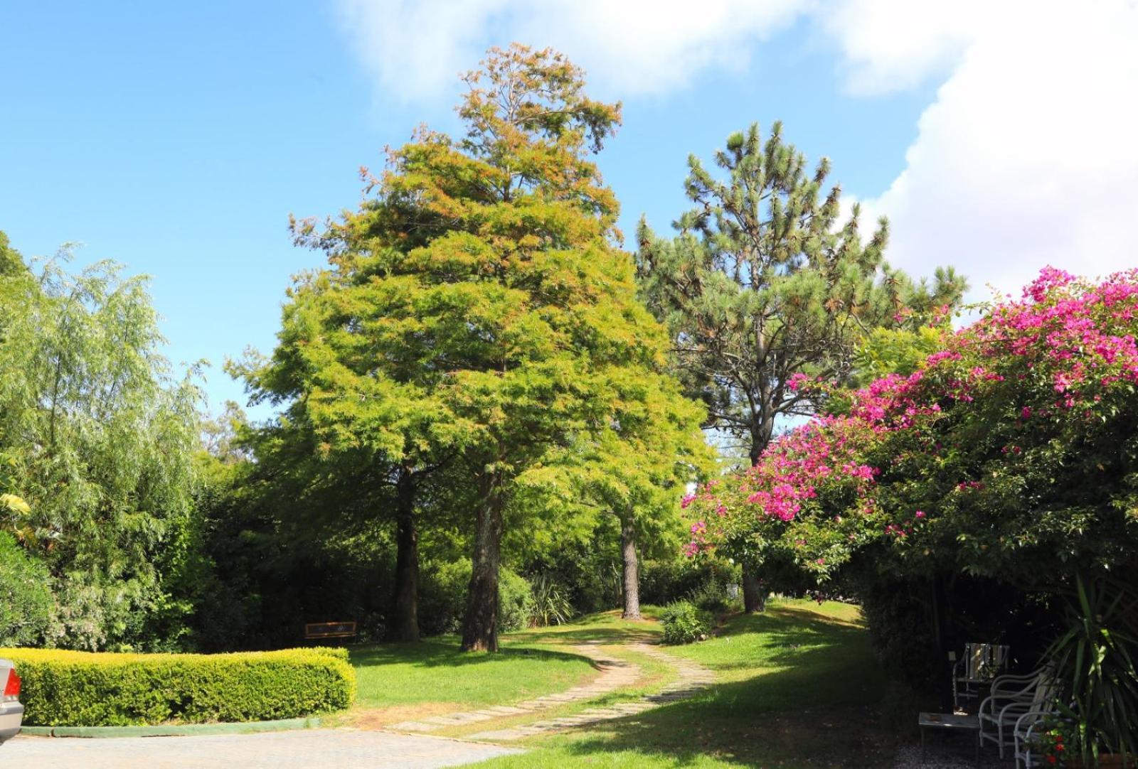 Ars Amici Bed and Breakfast Punta del Este Exterior foto